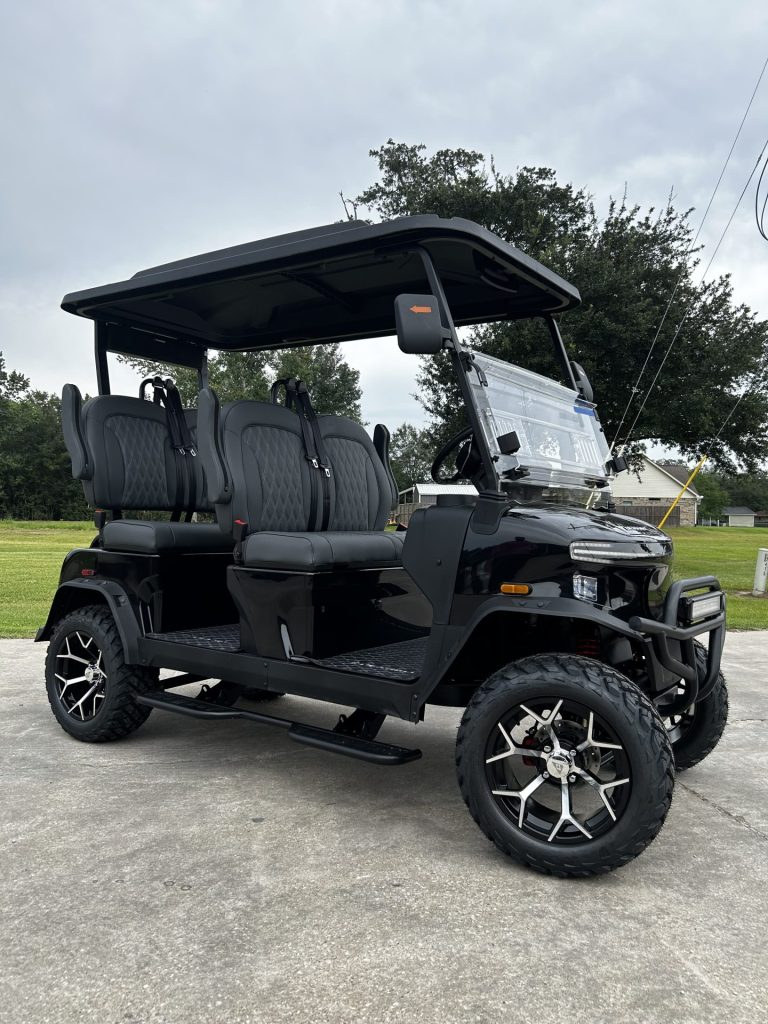 2025 Denago EV Rover XL